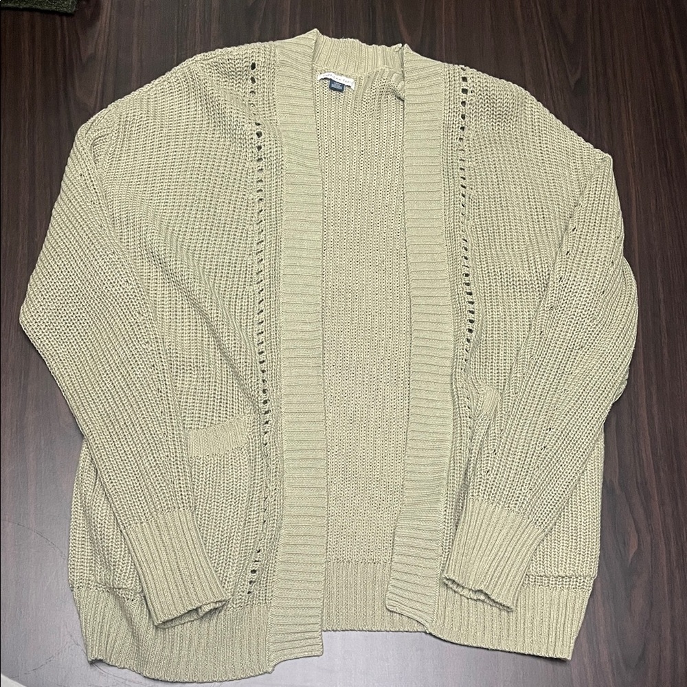 American Eagle Outfitters Light Green Knit Cardigan